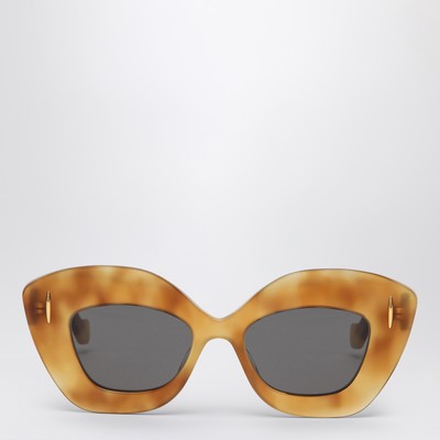 Retro Screen havana sunglasses